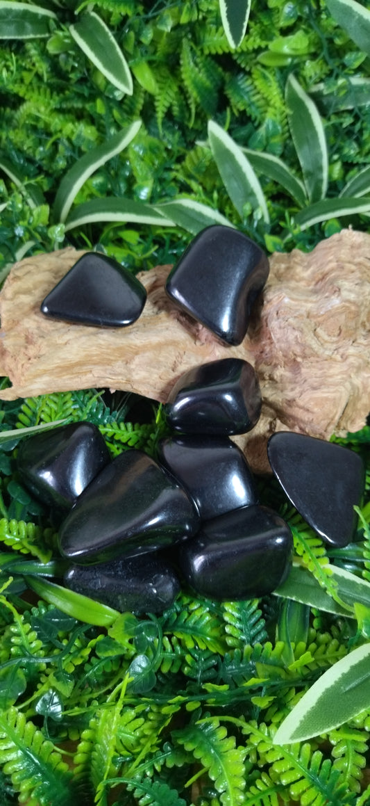 Shungite