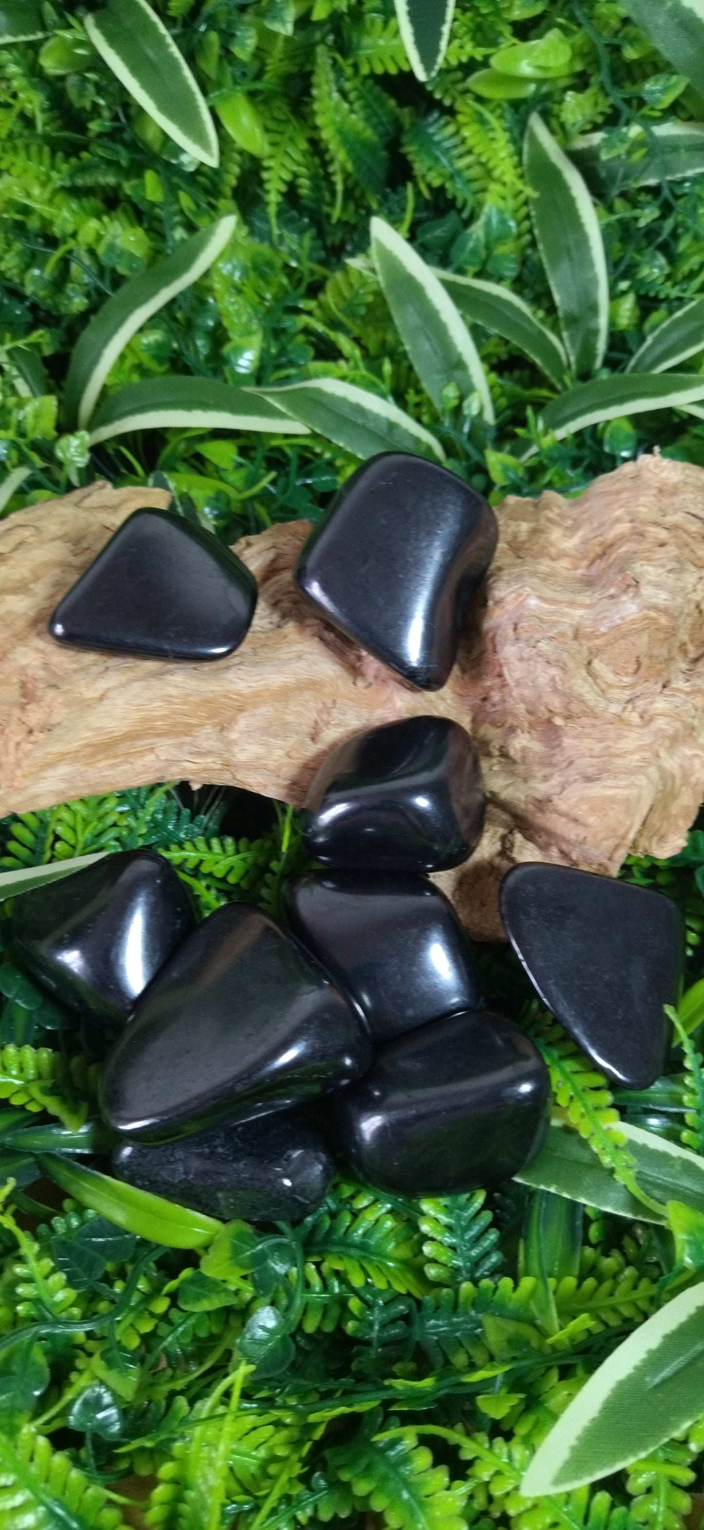 Shungite