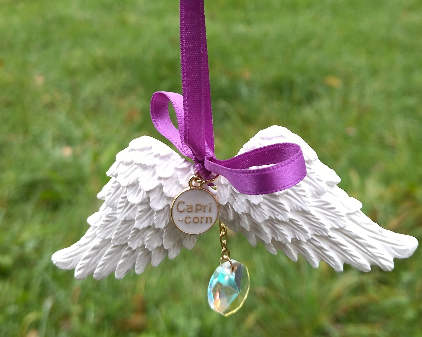 Suspension Odorante  "Astro" Verseau