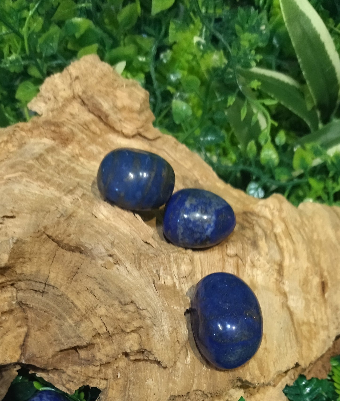 Lapis Lazulis